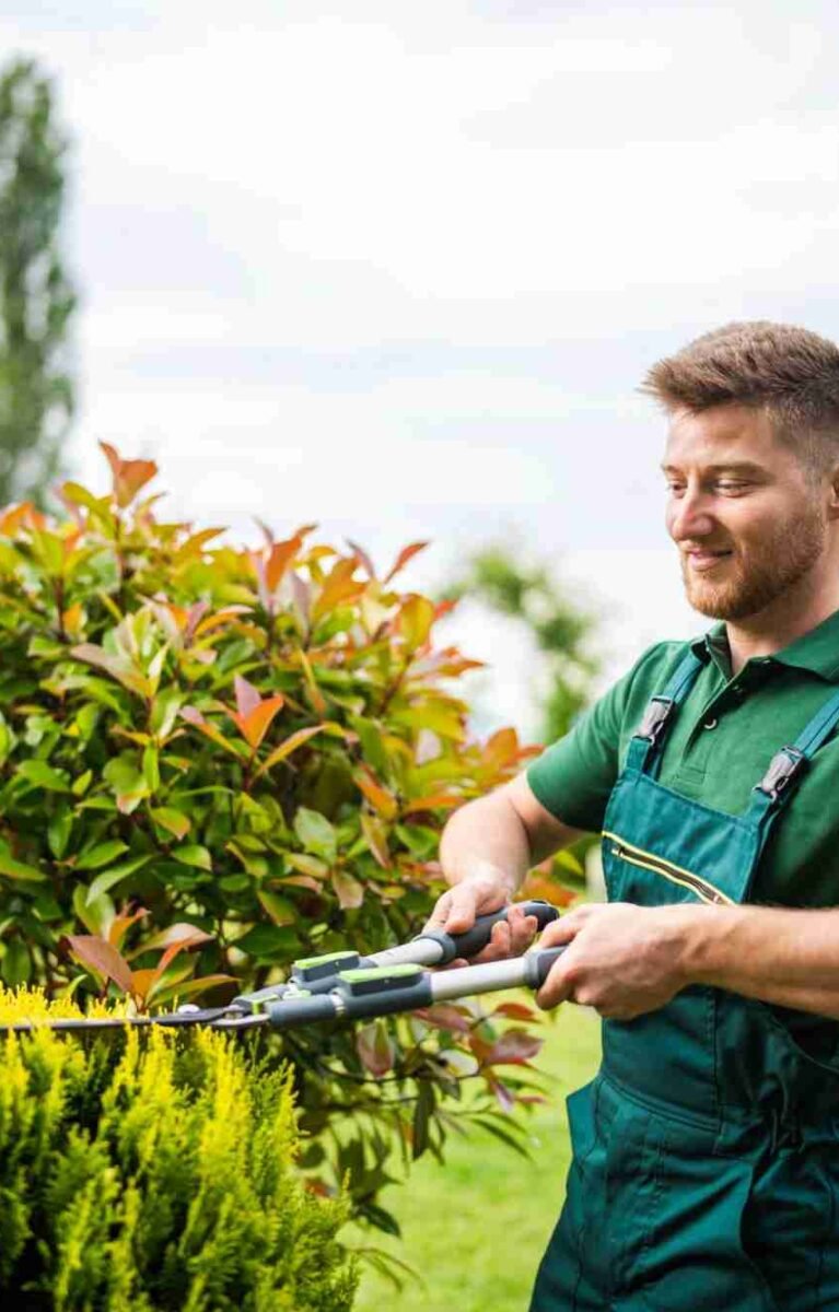 Ornamental Pruning in Cook County, IL